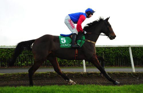 The Lar Byrne-trained Trafford Lad