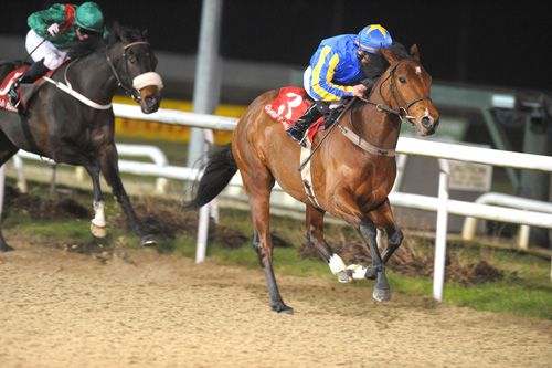 Kedleston was too good for the pursuing Tawariyka and company