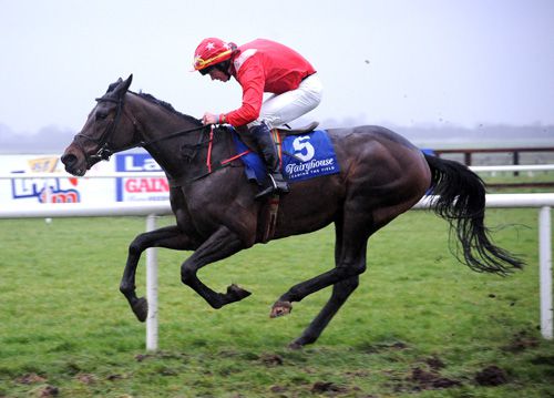 Starkie & Davy Roche have the job done at Fairyhouse