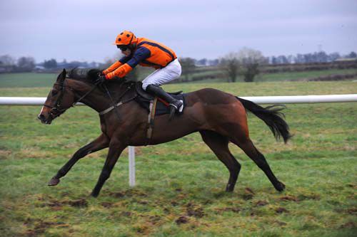 Another Challenge and Roger Quinlan easily win the bumper