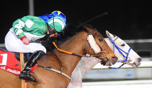 Houdini Bright (partially hidden) holds the challenge of Chebona Bula (nearside)