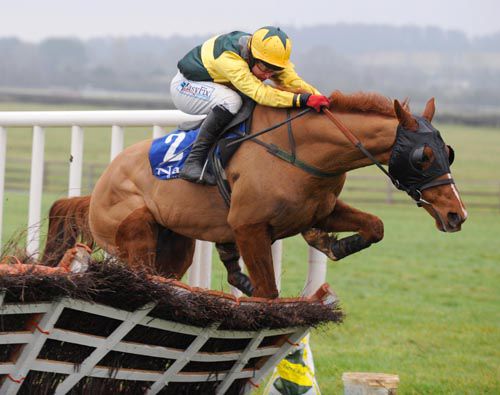 Colls Corner jumps the final flight