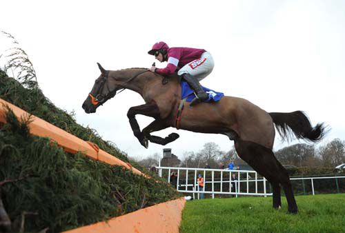 Last Instalment & Davy Russell about to jump a fence on their way to victory
