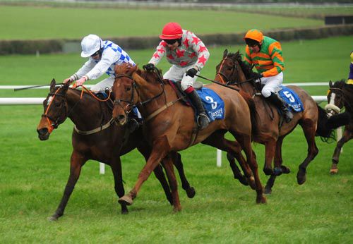 Red Memo (nearside, no.3) provides amateur Mark Byrne with his first winner over hurdles