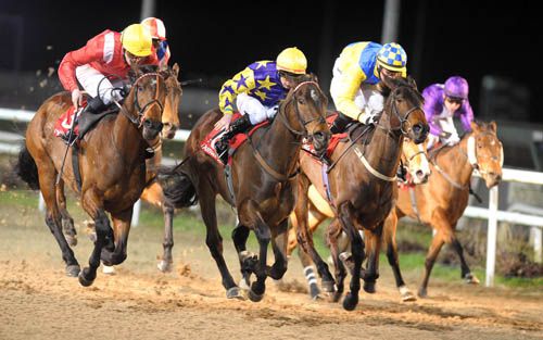 Samollie (yellow & blue with stars) just gets home in a tight finish at Dundalk