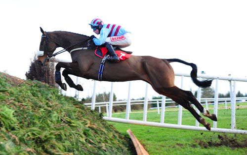 Rubi Light jumps the last on his way to victory in the Red Mills Chase last year