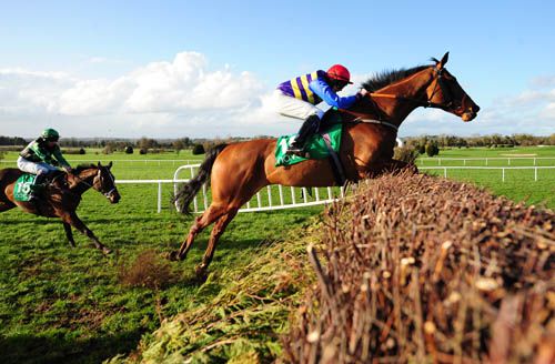 Hold Em Cowboy leads eventual 3rd Yeoman at Navan