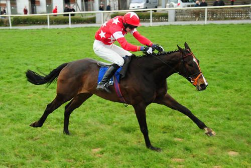 Five Point Plan wins the bumper in the hands of Kevin Power