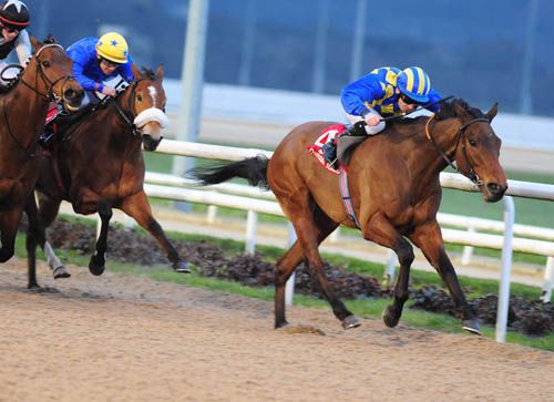 An Saighdiur pictured on his way to victory at Dundalk
