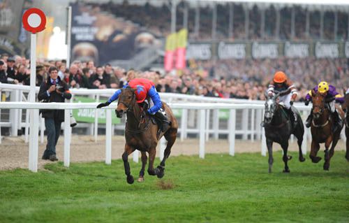 Quevega winning a fourth David Nicholson Mares' Hurdle<br>at Cheltenham last month