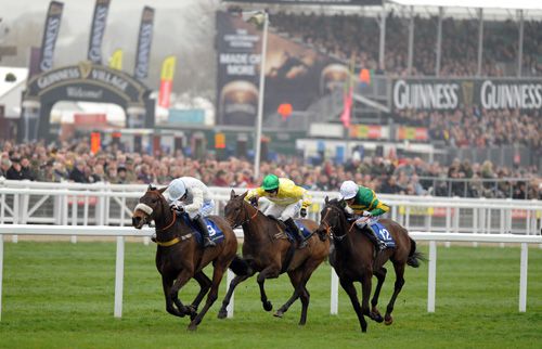 Cape Tribulation (white) pictured on his way to victory at Cheltenham last March