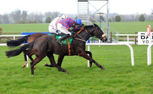 My Murphy and Robbie Power, near side, get up to beat Marsonnien and Ruby Walsh at Navan 