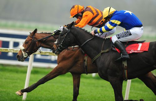 Novarov is driven out by Sean McDermott to beat Daring Article (no. 1)