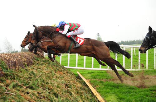 Shellys Creek puts in a good leap at Gowran under Shane Jackson