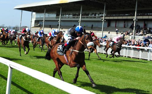 Redoubtable comes home a clear winner under Chris Hayes