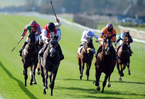 The grey Coolnagree (left) gets the better of Ishvana (right)