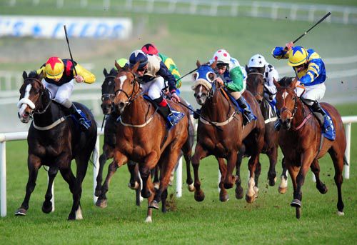 Cnocan Diva (beige and blue) comes to claim Prince Jock in a competitive heat