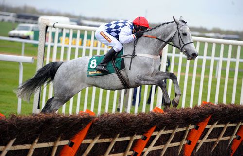 Simonsig in action over hurdles
