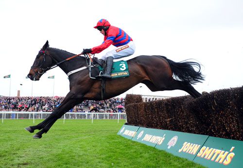 Sprinter Sacre pictured winning at Aintree last year