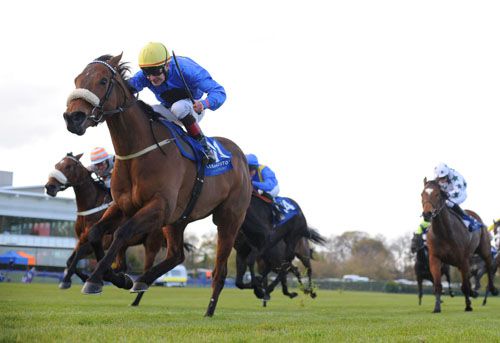 Olfa and Pat Smullen take the seven furlong handicap at Leopardstown