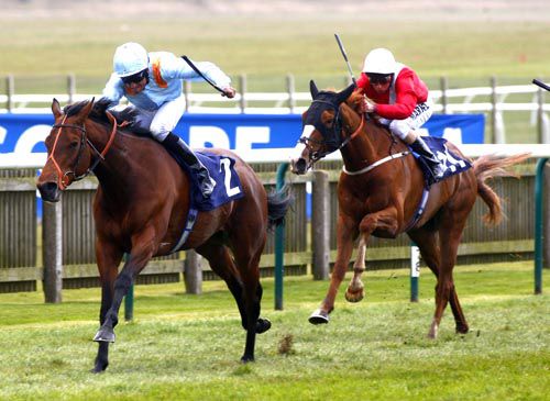 Enniscorthy rider Pat Dobbs seen here winning the Nell Gwyn yesterday on Esentepe