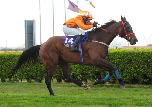 Good Luck Chuck and Declan Bates