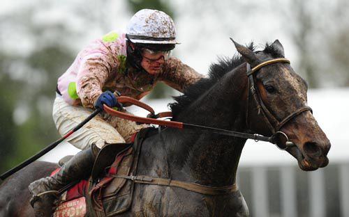 Marasonnien and Paul Townend