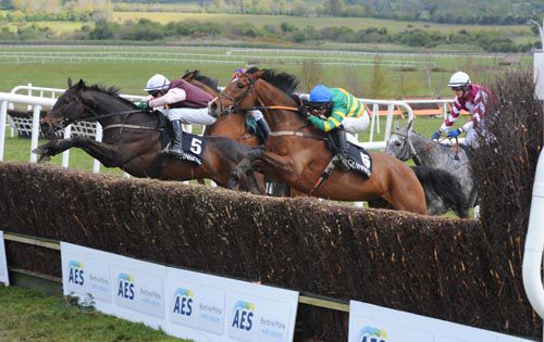 Foildubh and Paul Carberry (5) lead Carrigmartin over the final fence