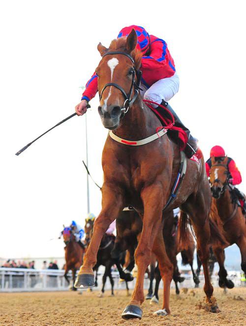 Misty Lane & Niall McCullagh were good winners at Dundalk