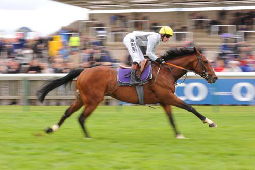 Frankel under Tom Queally at Newmarket today