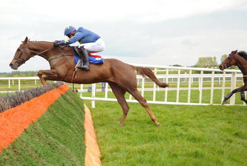 Tough Talkin Man jumps the last under Mick Darcy on his way to victory