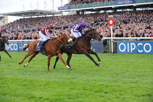 Camelot (purple) winning the Guineas yesterday