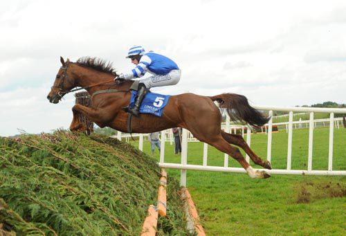 Island Peak jumps the last under Brian Cawley