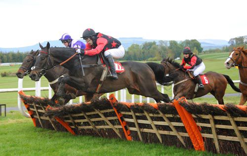 Cry For The Moon heads Whitehead Lad at the last before going on to score under Tom Doyle