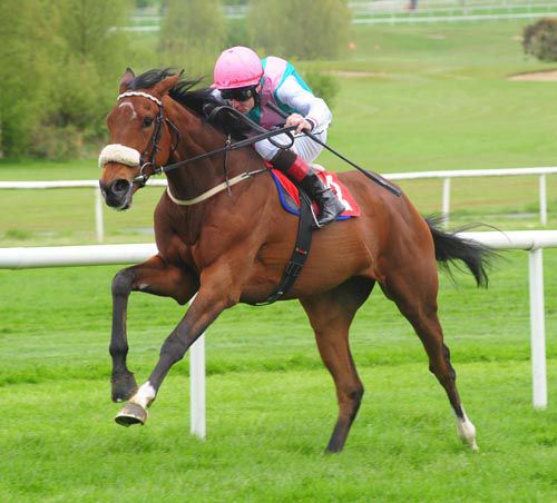 Caponata strides to an impressive victory on her debut under Pat Smullen
