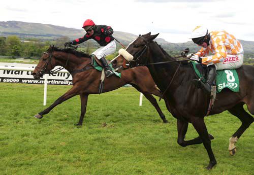 Archie Meade, black and red, pips Doctor Deejay at Sligo