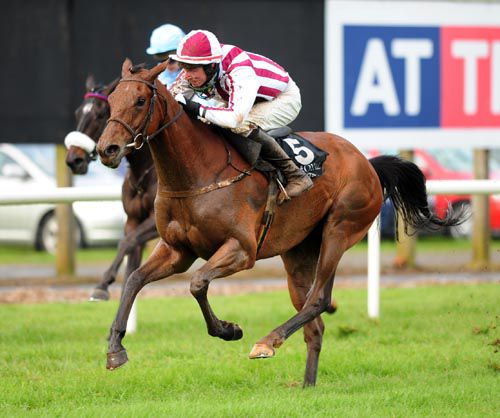 Honey Bach is pushed out to victory in the bumper at Down Royal under Declan Lavery