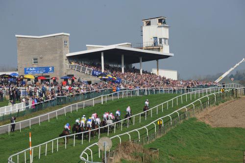 Downpatrick Racecourse