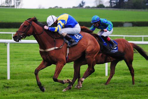 Headford Flyer has the measure of eventual third Scots Gaelic