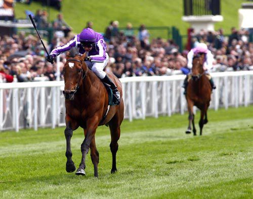 Astrology runs out a very easy winner under Joseph O'Brien