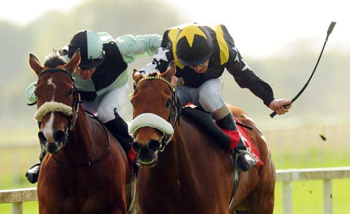 Landsdowne (right) proves too strong for Moscow Treat 
