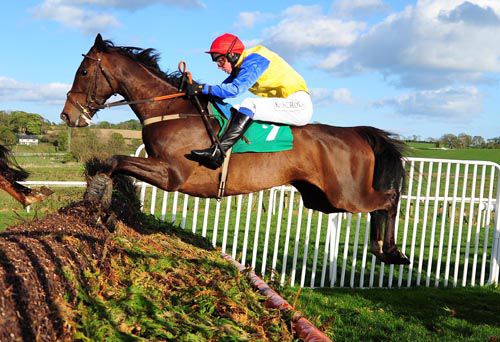 High Talk & Derek Fox jump a fence on their way to victory