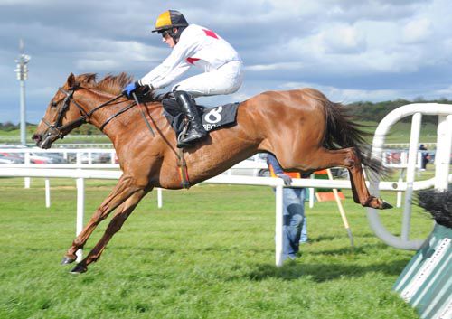 White Feathers & Paul Townend soar over the last at Kilbeggan