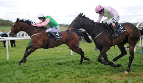 Shakervilz sees off Sergent Guib's at Kilbeggan