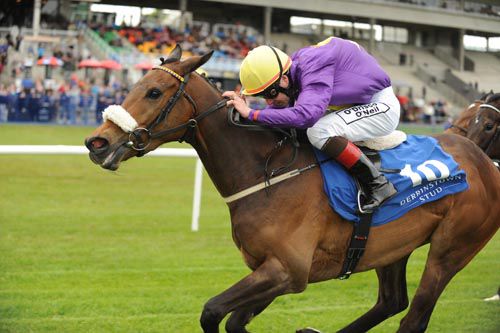 Yellow Rosebud and Pat Smullen in action at Leopardstown