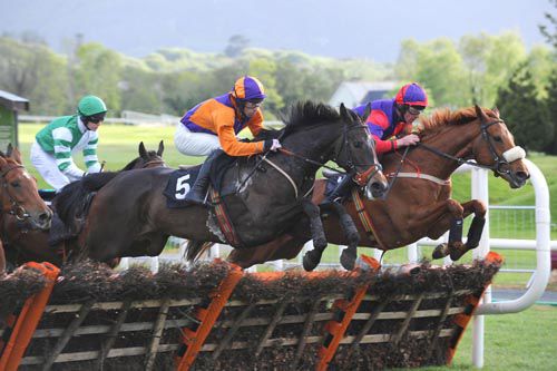 Ballyadam Approach (nearest) jumps the last with a circuit to go alongside Lean Times