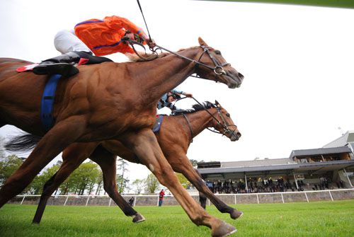 Korbous (nearside) gets up to beat That Boy David