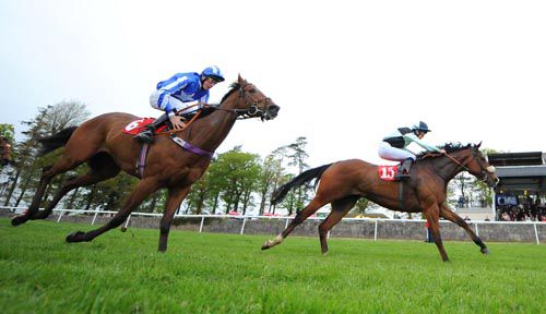 Moscow Treat (Marc Monaghan) beating Daring Man