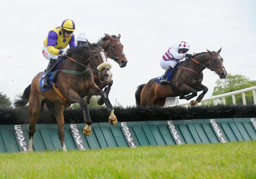 Tequila Lord leads over the last with eventual winner Zaralabad on the outside