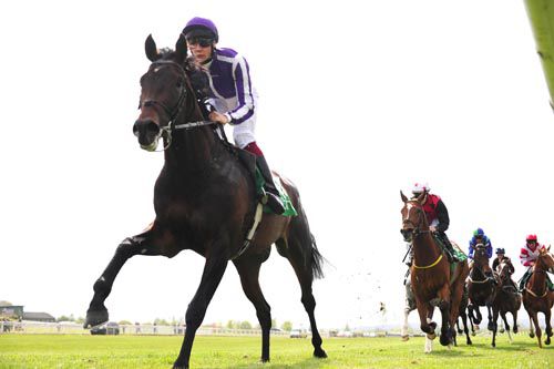 Offer sheds his maiden tag at Navan  